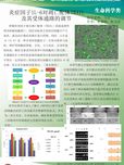 炎癥因子IL-6對(duì)凋亡配體TRAIL及其受體通路的調(diào)節(jié)研究