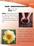 植物新品種權(quán)的侵權(quán)類型及其保護(hù)方式研究