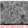 基于新型靶標(biāo)酶界面的農(nóng)藥分子識(shí)別與檢測(cè)