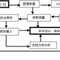 個性化定制髖關(guān)節(jié)假體的三維CAD設(shè)計方案及虛擬移植的研究