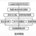 楊樹單寧合成途徑中關(guān)鍵酶基因LARs的克隆及功能解析