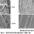 自粘性有機(jī)顏料微膠囊的制備及其在涂料印染中的應(yīng)用