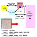 城市交通擁堵現(xiàn)狀調(diào)查與對策研究——由城市各大中心到城市外圍分區(qū)放射分流交通利用模式