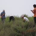 黃土丘陵溝壑區(qū)退耕地的植物群落多樣性研究--以陜北清澗縣為例