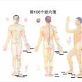 2000-2009年《中國(guó)針灸》臨床研究和報(bào)道中穴位譜研究