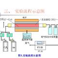 六氟乙烷的熱分解特性