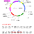 用于蛋白間互作研究的雙分子熒光互補（BiFC）操作平臺的構建及應用