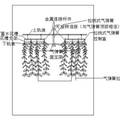 建筑物生態(tài)節(jié)能著裝