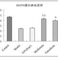 靈芝多糖對(duì)3T3-L1胰島素抵抗細(xì)胞模型蛋白表達(dá)的影響