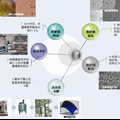 具有藻毒素清除能力的益生菌發(fā)酵劑的制備研究