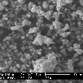 Bi2S3/CdS在可見光下催化還原CO2成甲醇的研究