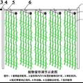 冷凝水回收微灌天然植物窗簾遮陽技術(shù)