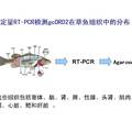 草魚垂體細(xì)胞中多巴胺D2受體的表達(dá)調(diào)控：一種維持促黃體生成素合成的新機(jī)制