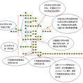 美國(guó)白蛾入侵危害評(píng)估及治理決策模型