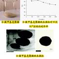 殼聚糖基納米微粒對Ni2+的吸附性能研究