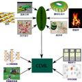 大規(guī)模數(shù)值優(yōu)化中變量相關性學習的研究