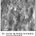 納米碳管接枝納米過渡金屬制備一氧化碳傳感器