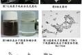 新型磁性納米載體跨血脊髓屏障靶向定位的實驗研究