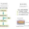 中藥國際化--質(zhì)量標(biāo)準(zhǔn)評價與信息技術(shù)平臺研究