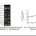 谷胱甘肽轉(zhuǎn)移酶SlGSTu1在斜紋夜蛾毒死蜱抗性作用的研究