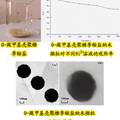 殼聚糖基納米微粒對Ni2+的吸附性能研究