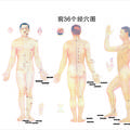 2000-2009年《中國(guó)針灸》臨床研究和報(bào)道中穴位譜研究