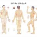 2000-2009年《中國(guó)針灸》臨床研究和報(bào)道中穴位譜研究