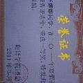 大學生職業(yè)選擇調查問卷及分析