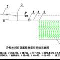 冷凝水回收微灌天然植物窗簾遮陽技術(shù)