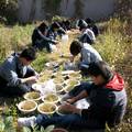 微生物菌肥改良鹽堿土盆栽實(shí)驗(yàn)研究