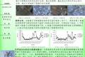 珠三角地區(qū)不同地形條件下絕緣子污穢積累規(guī)律的研究