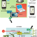 基于虹吸原理及物聯(lián)網(wǎng)技術(shù)的滲透灌溉法