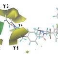 基于計(jì)算機(jī)模擬技術(shù)的新型抗腫瘤藥物分子的發(fā)現(xiàn)