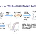 草魚垂體細(xì)胞中多巴胺D2受體的表達(dá)調(diào)控：一種維持促黃體生成素合成的新機(jī)制