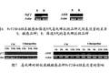 谷胱甘肽轉(zhuǎn)移酶SlGSTu1在斜紋夜蛾毒死蜱抗性作用的研究