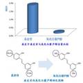 廢棄桑枝中新型皮膚美白因子——桑皮苷與氧化白藜蘆醇的提取分離與開發(fā)利用研究