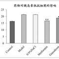 靈芝多糖對(duì)3T3-L1胰島素抵抗細(xì)胞模型蛋白表達(dá)的影響