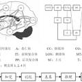 基于人類認知心理的遙感圖像空間特征提取技術(shù)