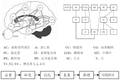 基于人類認(rèn)知心理的遙感圖像空間特征提取技術(shù)