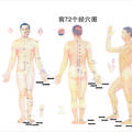 2000-2009年《中國(guó)針灸》臨床研究和報(bào)道中穴位譜研究