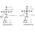 常用化療方案對(duì)原代乳癌細(xì)胞抑制率與基因過表達(dá)的相關(guān)性研究