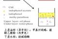 在油/水兩相界面中利用酶抑制法檢測有機磷農(nóng)藥