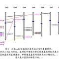 水稻ABCB轉(zhuǎn)運(yùn)蛋白基因的分子進(jìn)化和表達(dá)分析