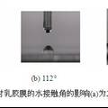 水性環(huán)氧樹脂接枝聚含氟丙烯酸酯防腐涂料