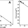 癌胚抗原及葡萄糖超靈敏納米電化學(xué)傳感器研究