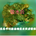 騰飛利民生物新能源有限公司